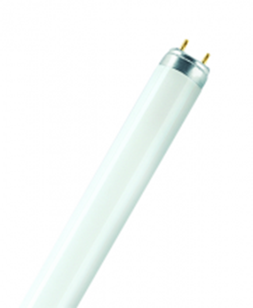 TL Röhre 36W Lumilux   31/830